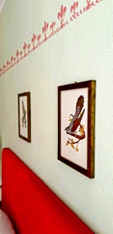 Villa Katarina Branik Exteriér fotografie